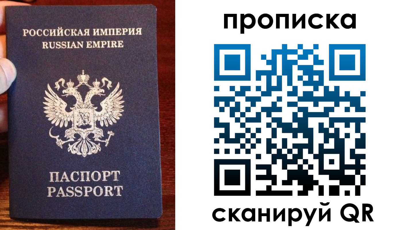 прописка поиск в Александровске